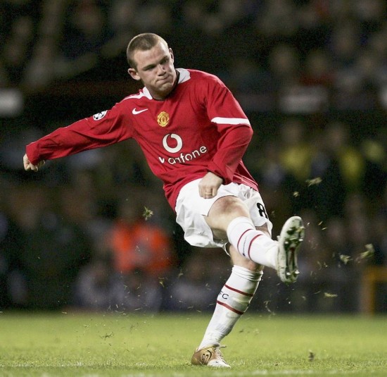 的独到见解 的独到见解