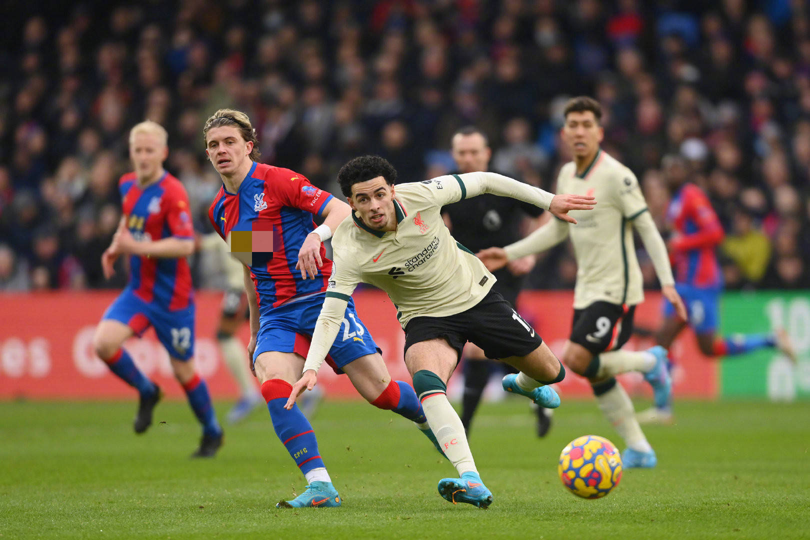 至球迷忠诚 至球迷忠诚